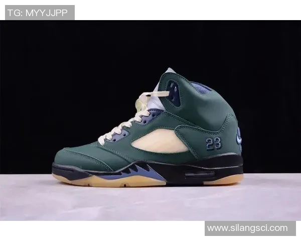 篮球明星耐磨鞋推荐哪些品牌和款式最受欢迎